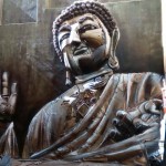 CHATARRA ZEN PH MATT FOX TUCKER